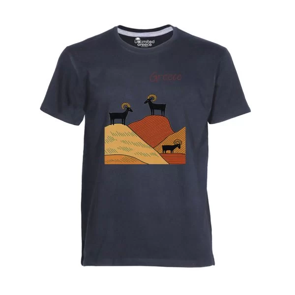 Tshirt Γκρι 72
