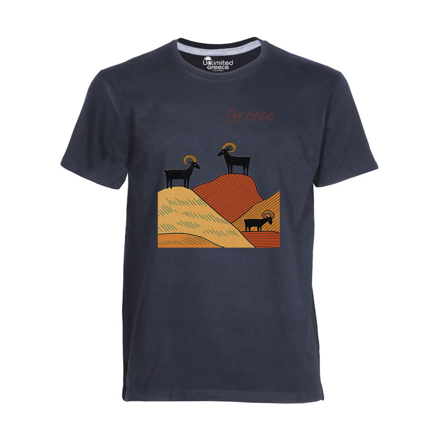 Παιδικό Tshirt Γκρι 72