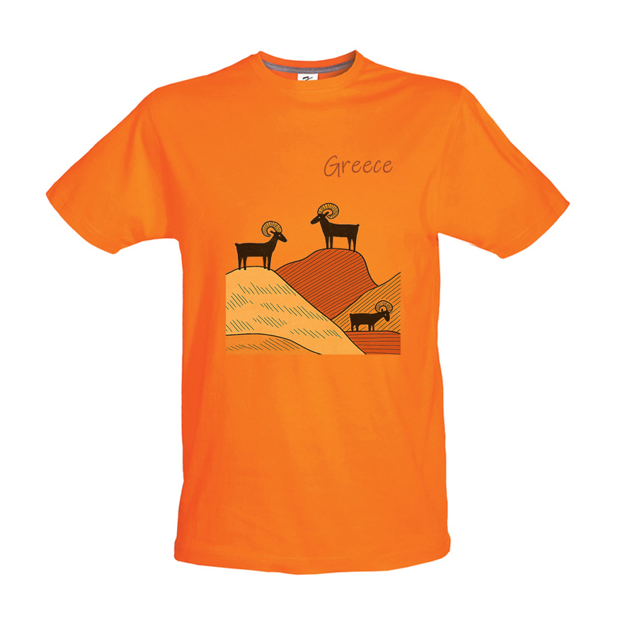 Παιδικό Tshirt Πορτοκαλί 72