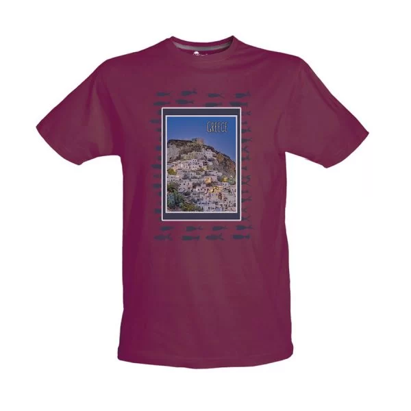 Tshirt Βυσσινί 34