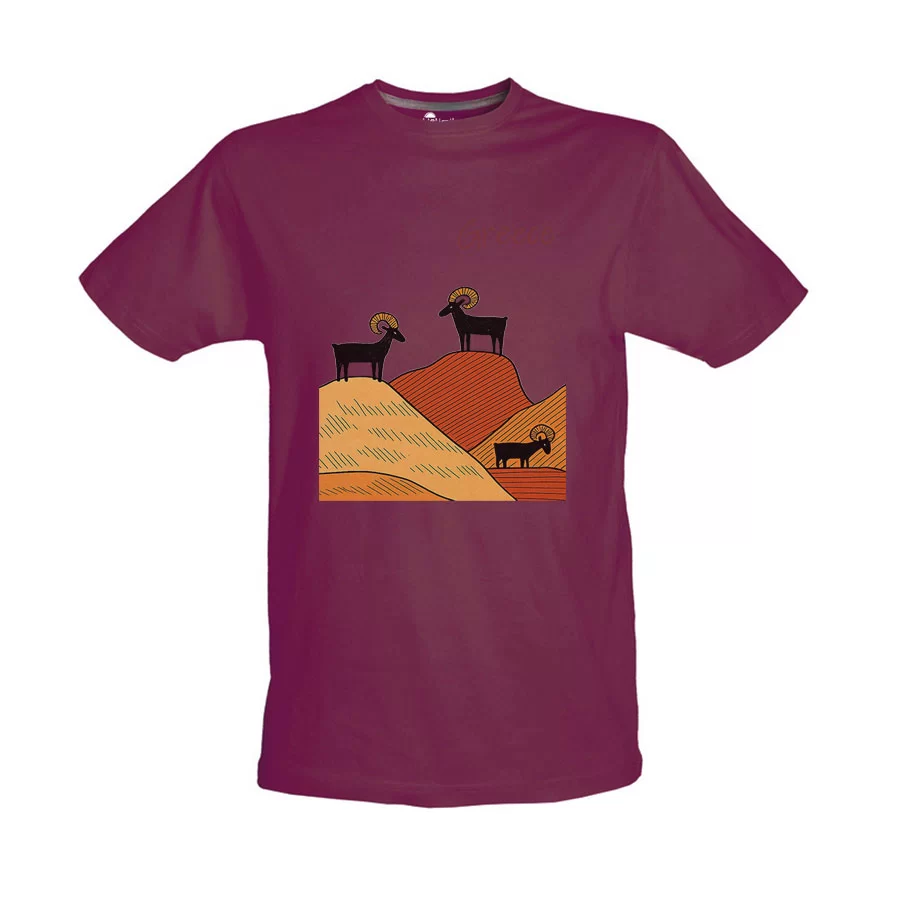 Παιδικό Tshirt Βυσσινί 72