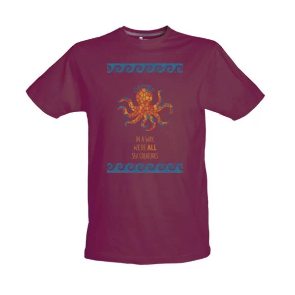 Tshirt Βυσσινί 100